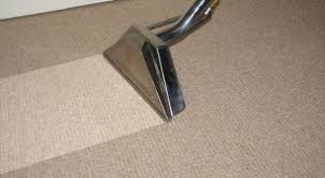 picture of carpet cleaning wand for web page